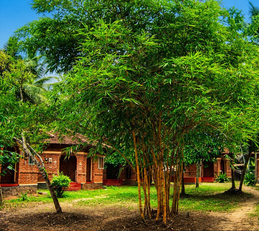 accommodation 01